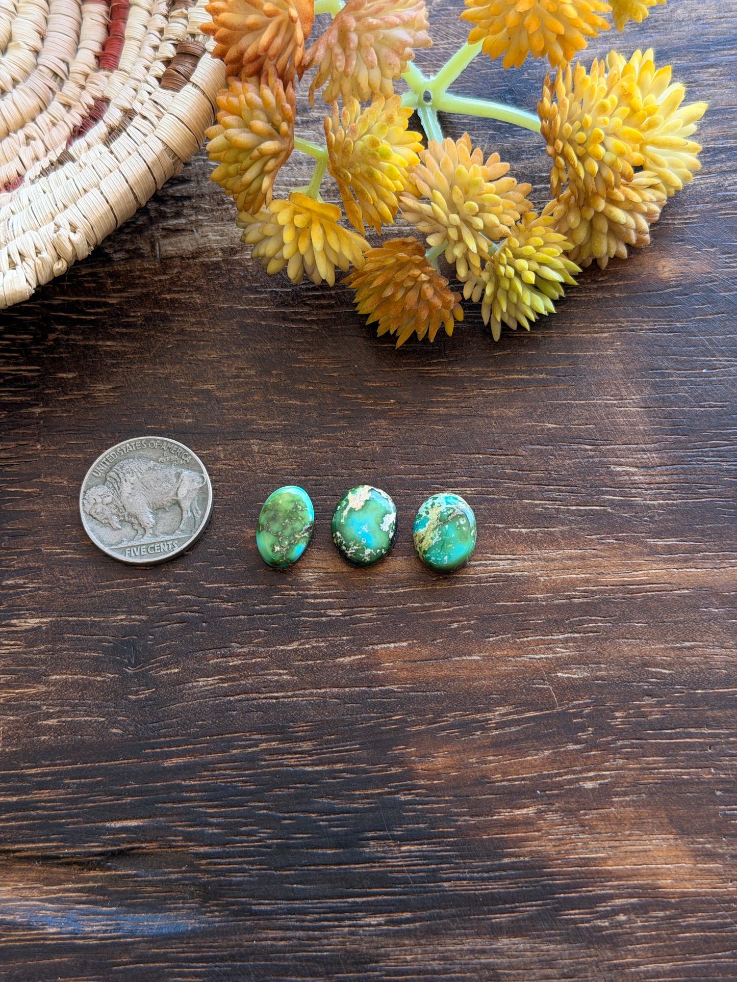 Sonoran Mountain Turquoise Cabs