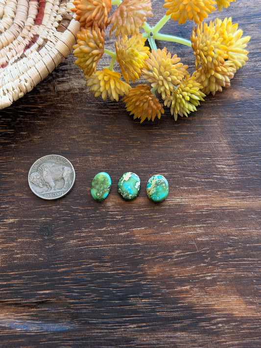 Sonoran Mountain Turquoise Cabs
