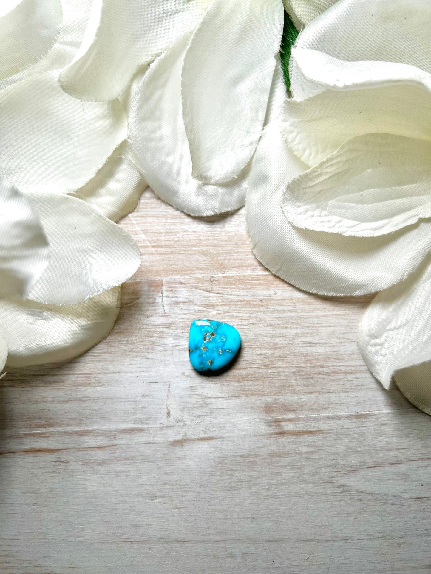 Blue Ridge Turquoise Cab