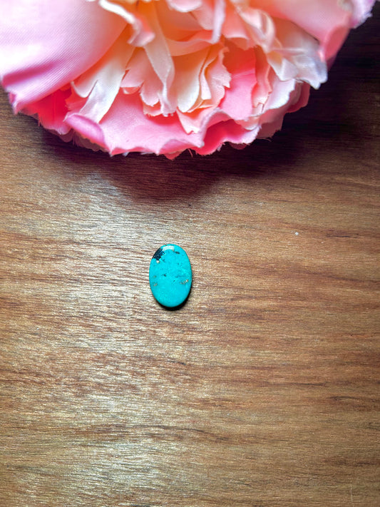 Kingman Turquoise Cabs