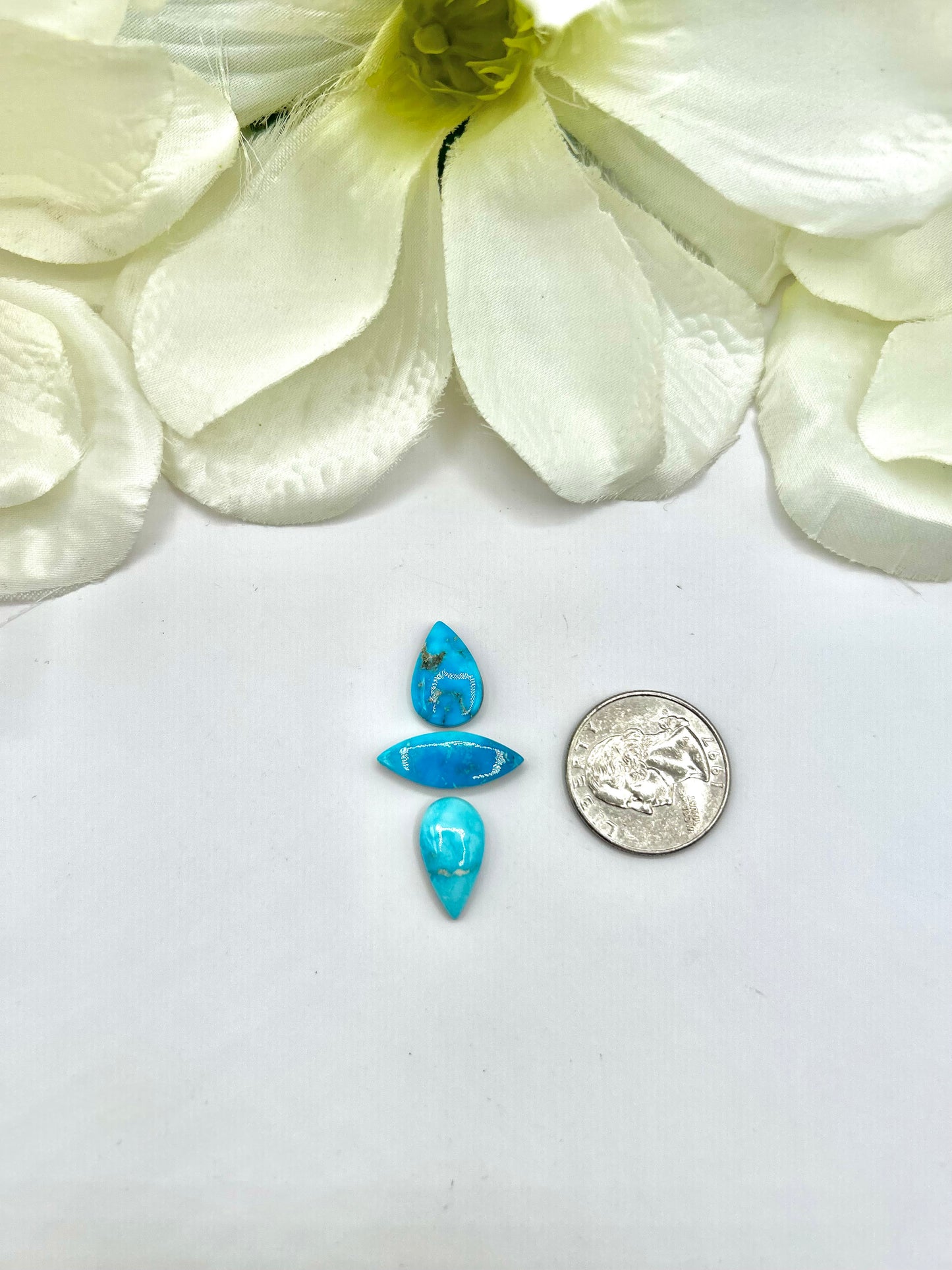 Blue Ridge Turquoise Cabs