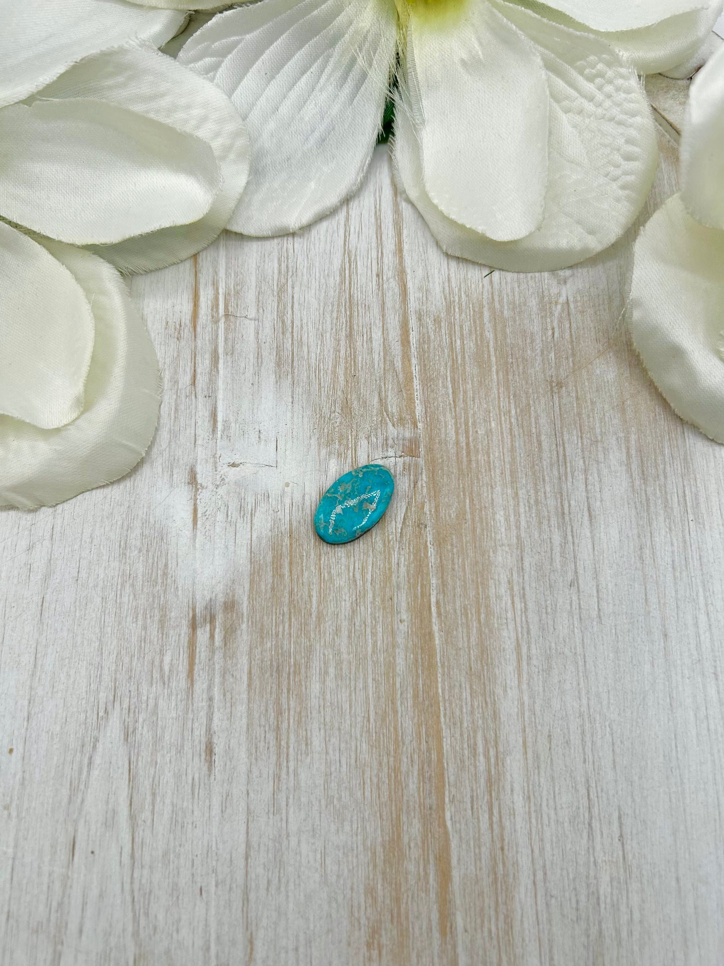 Blue Ridge Turquoise Cab