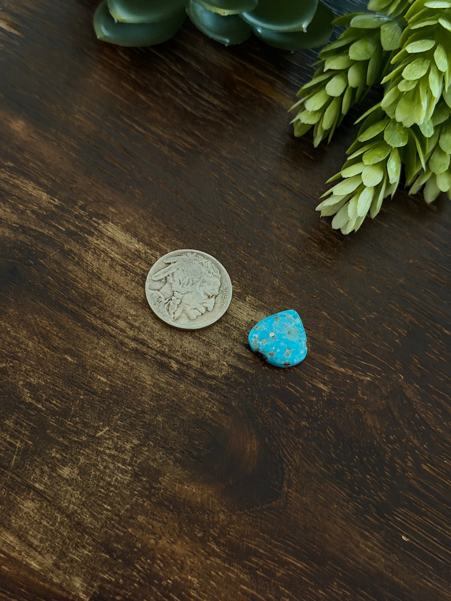 Blue Bird Turquoise Cab