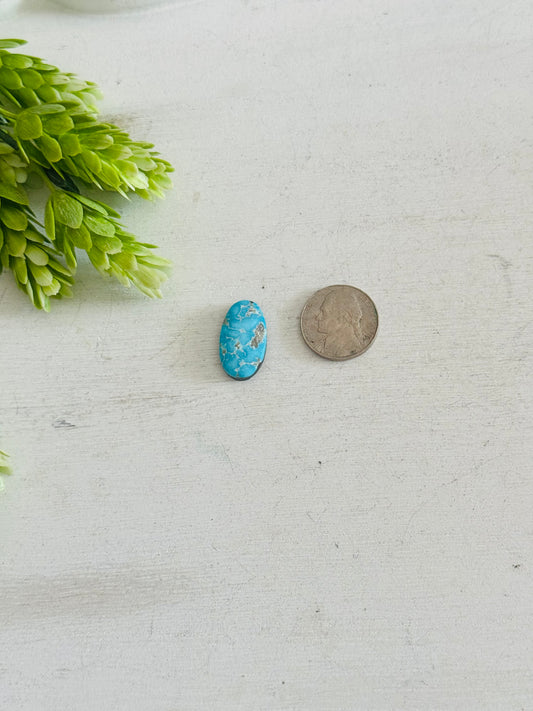 Blue Bird Turquoise Cab