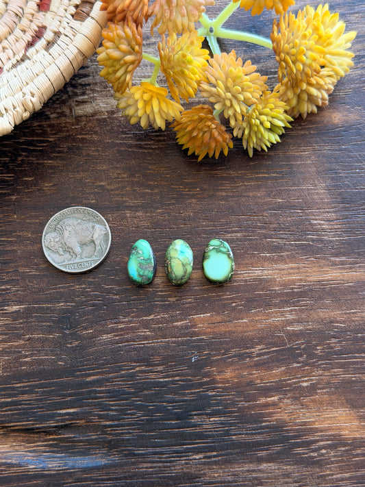 Sonoran Mountain Turquoise Cabs