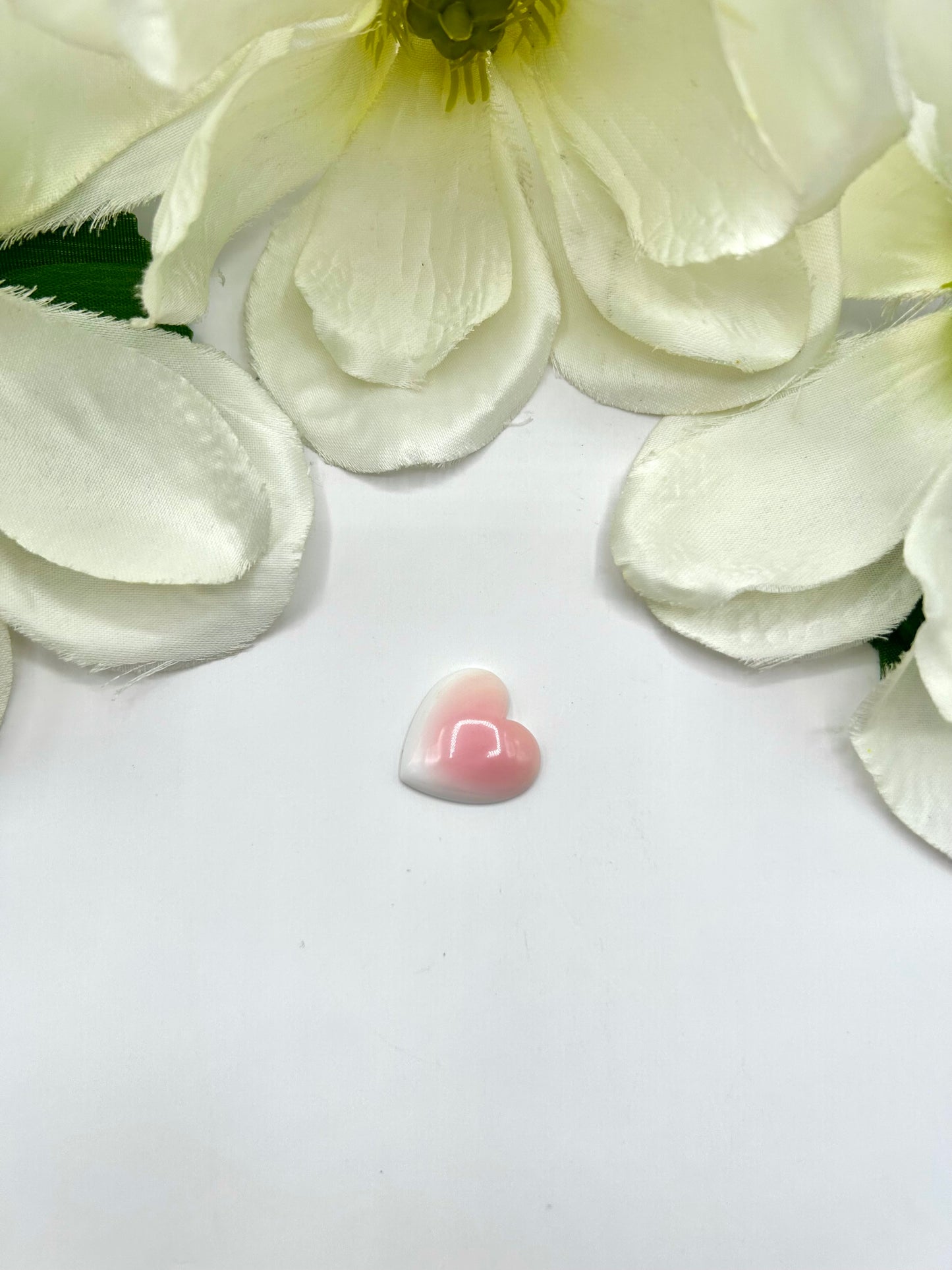 Pink Conch Cab