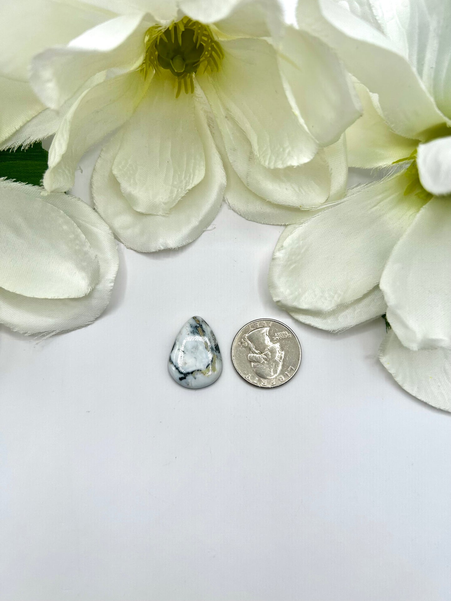 White Buffalo Cabs