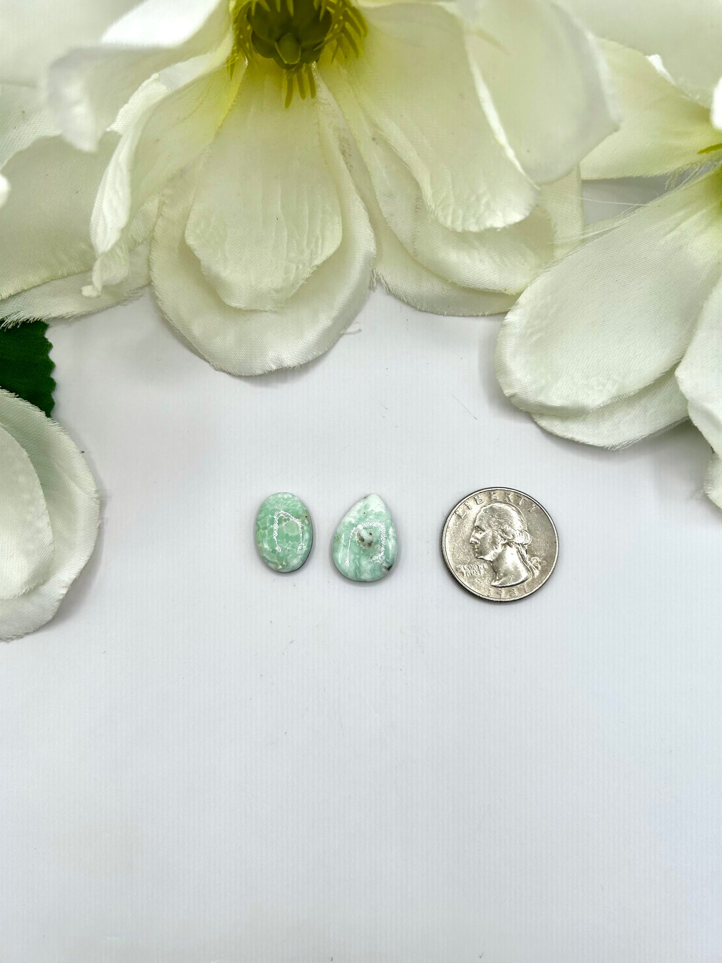 Paloma Variscite Cabs