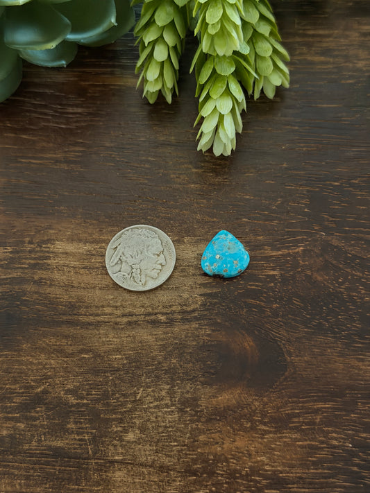Blue Bird Turquoise Cab