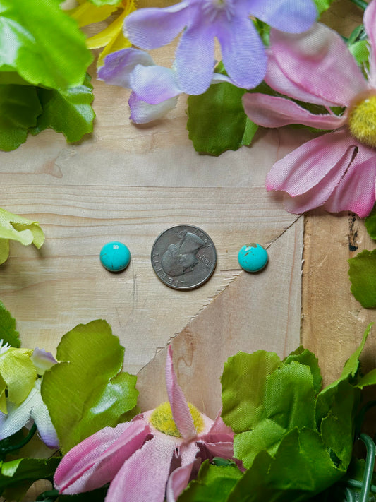 Kingman Turquoise Cabs