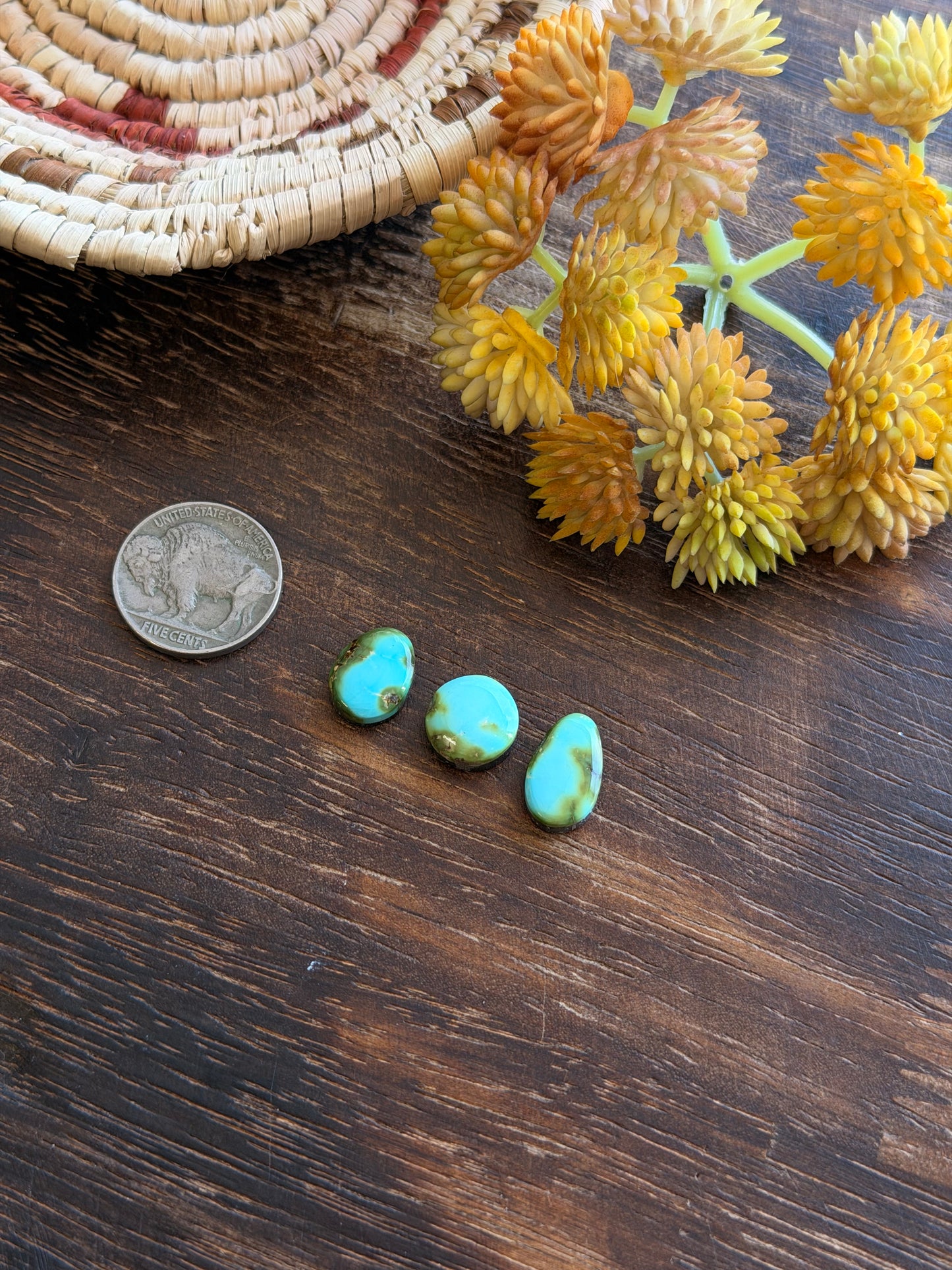 Sonoran Mountain Turquoise Cabs