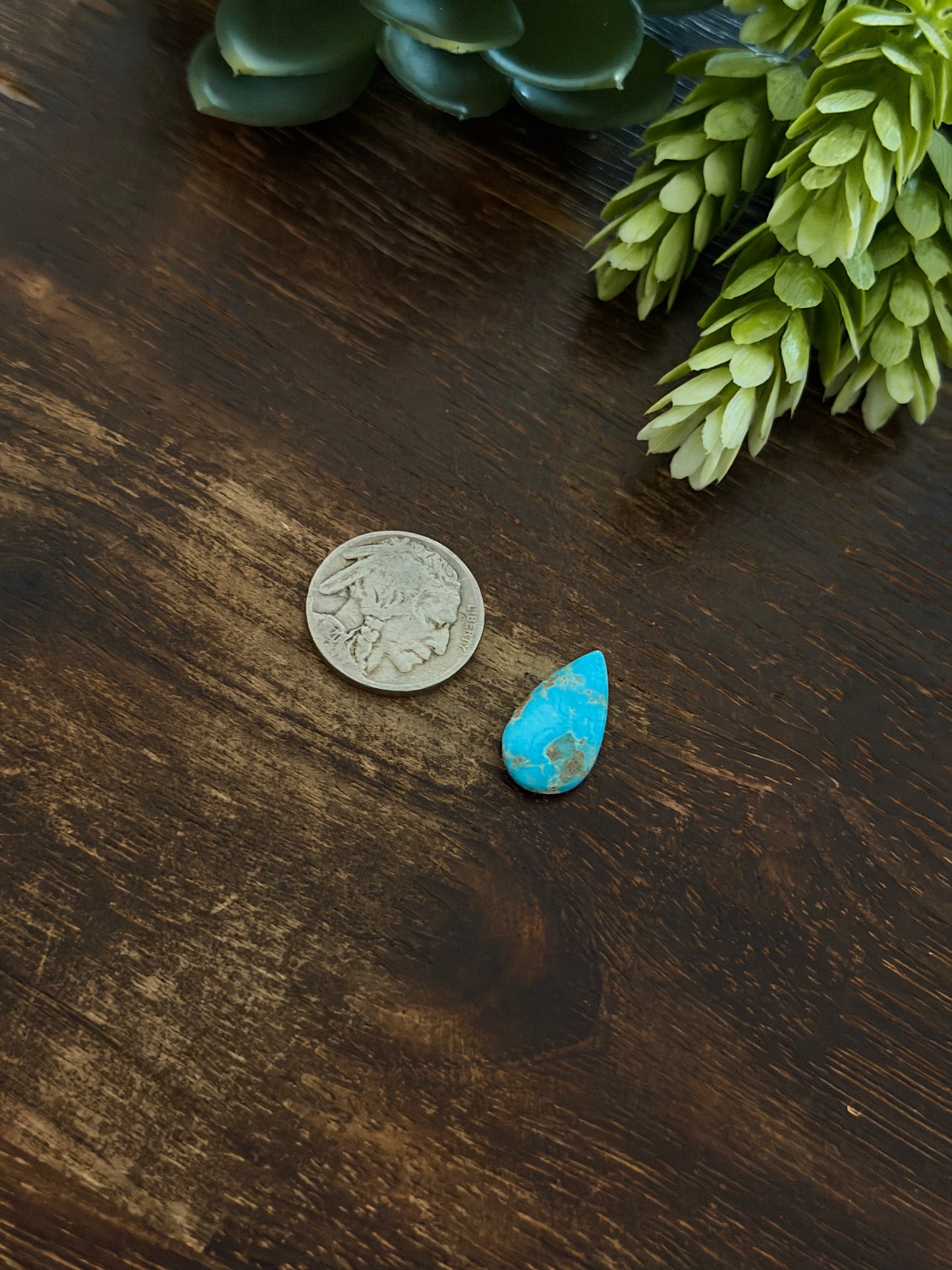 Blue Bird Turquoise Cab