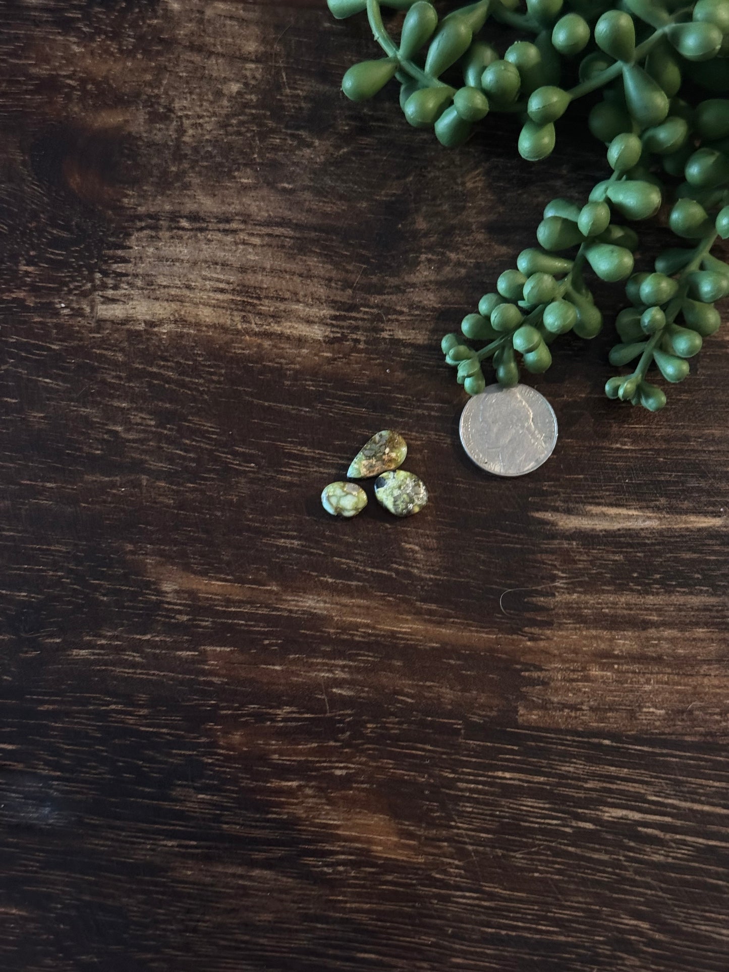 Palomino Variscite Cabs