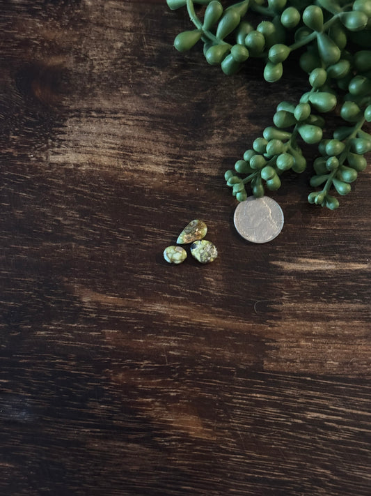 Palomino Variscite Cabs