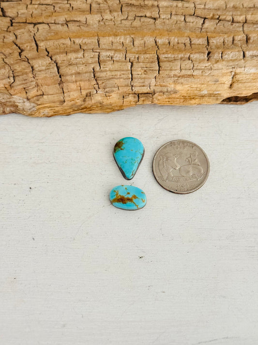 Natural Kings Manassa Turquoise Cabs
