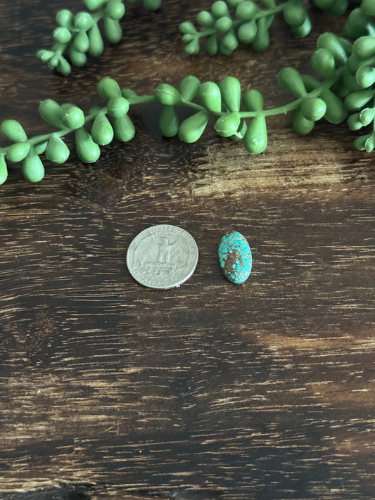 Kingman Turquoise Cab