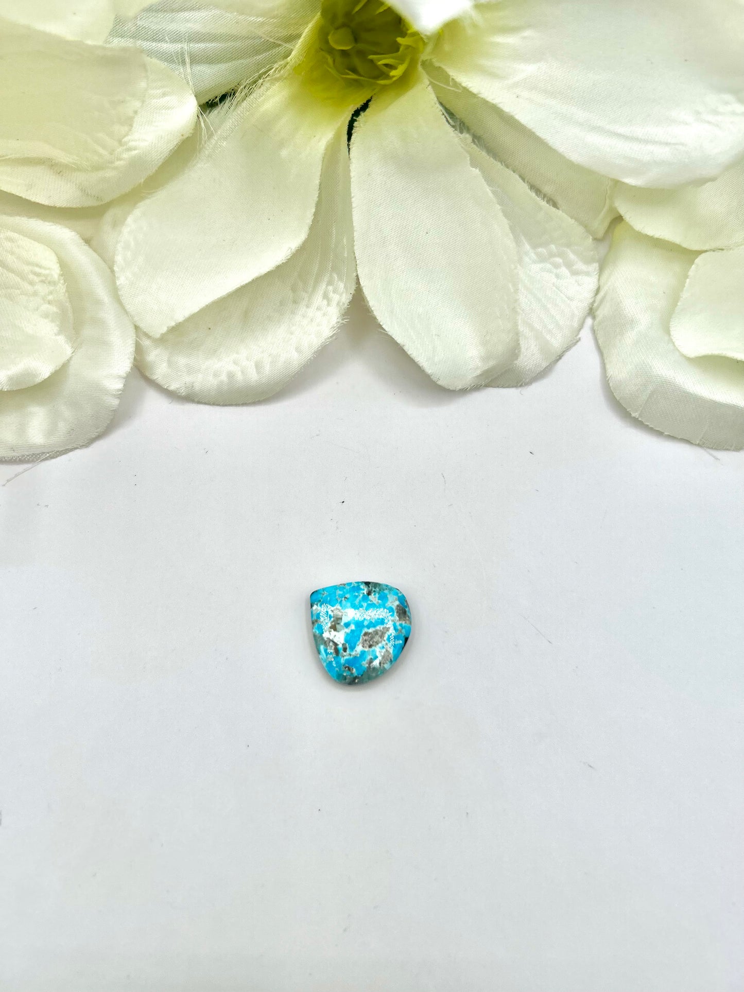 Blue Ridge Turquoise Cabs