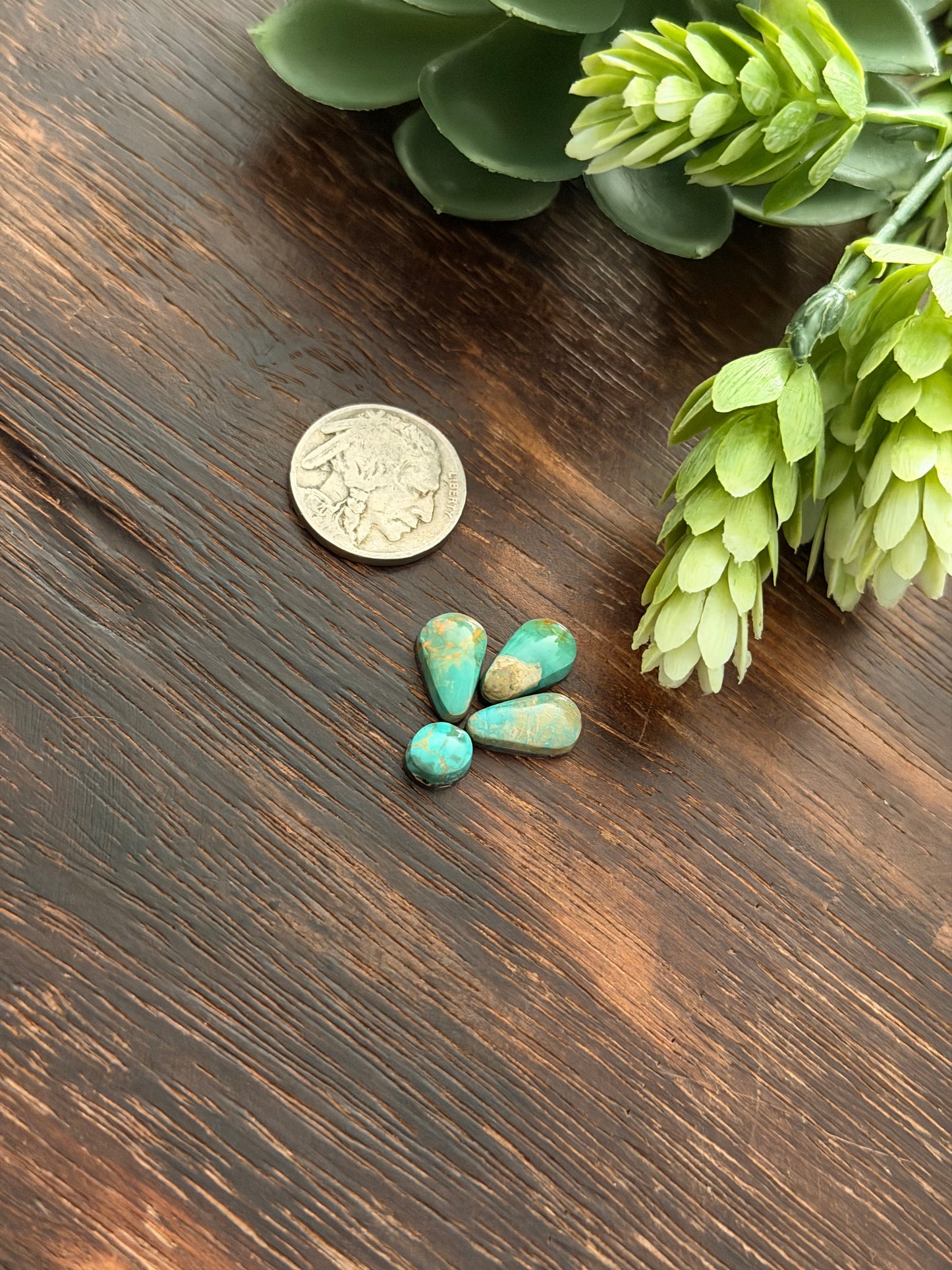 Evans Turquoise Cabs