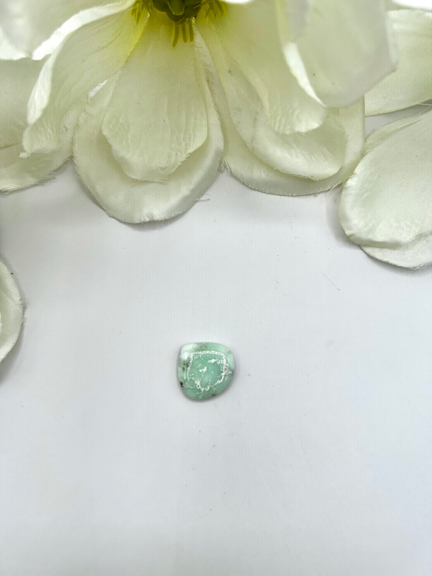 Paloma Variscite Cabs