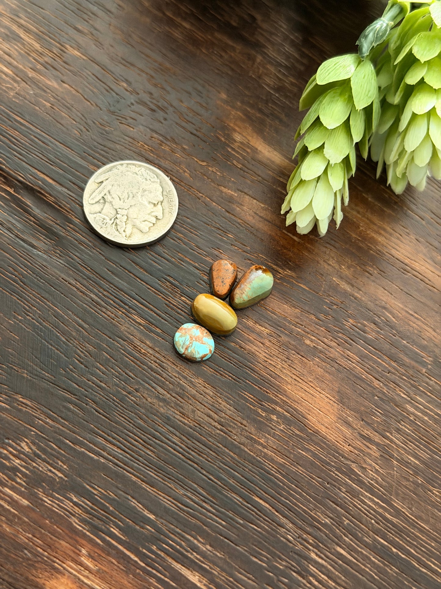 Evans Turquoise Cabs