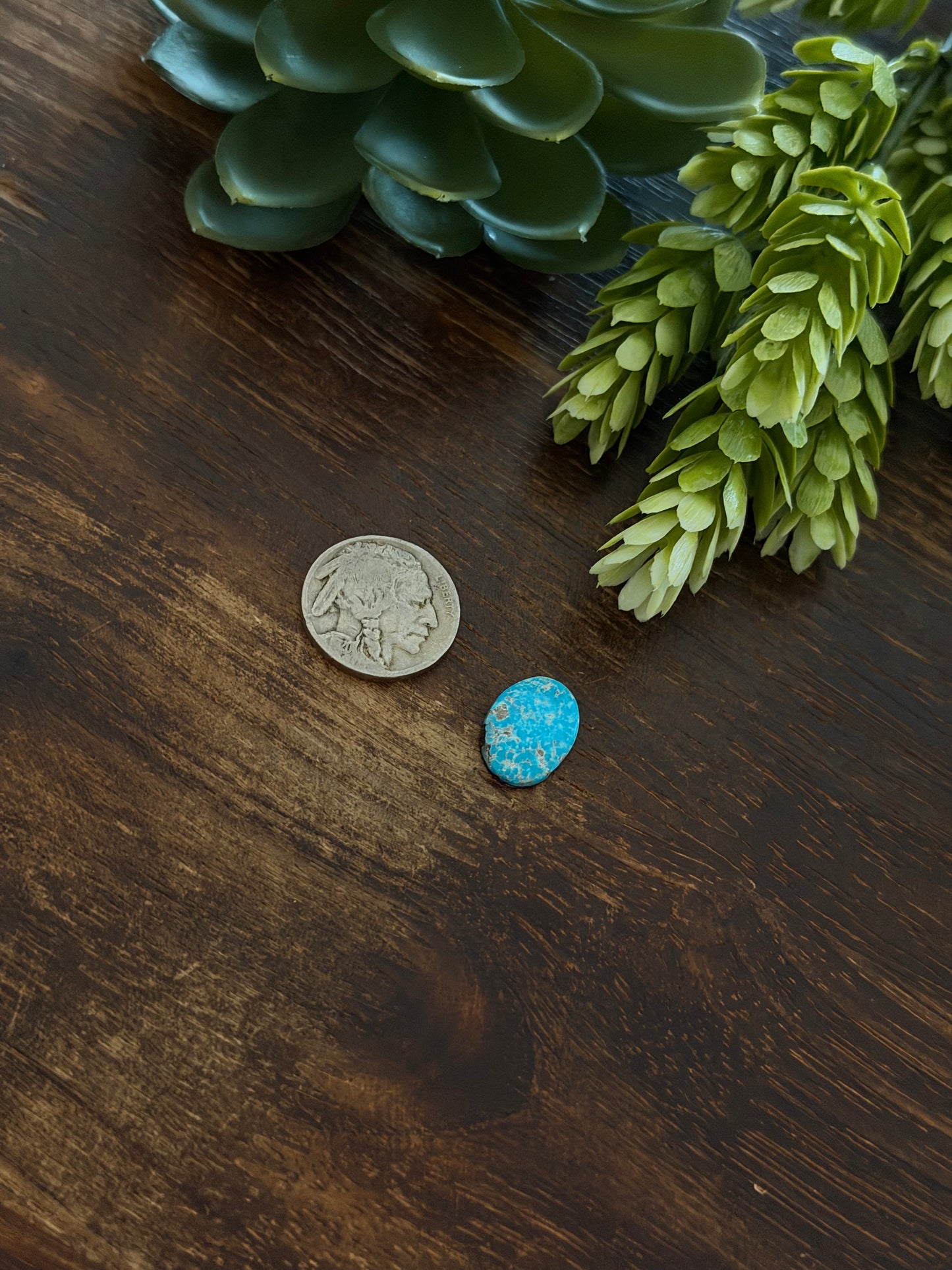 Blue Bird Turquoise Cab