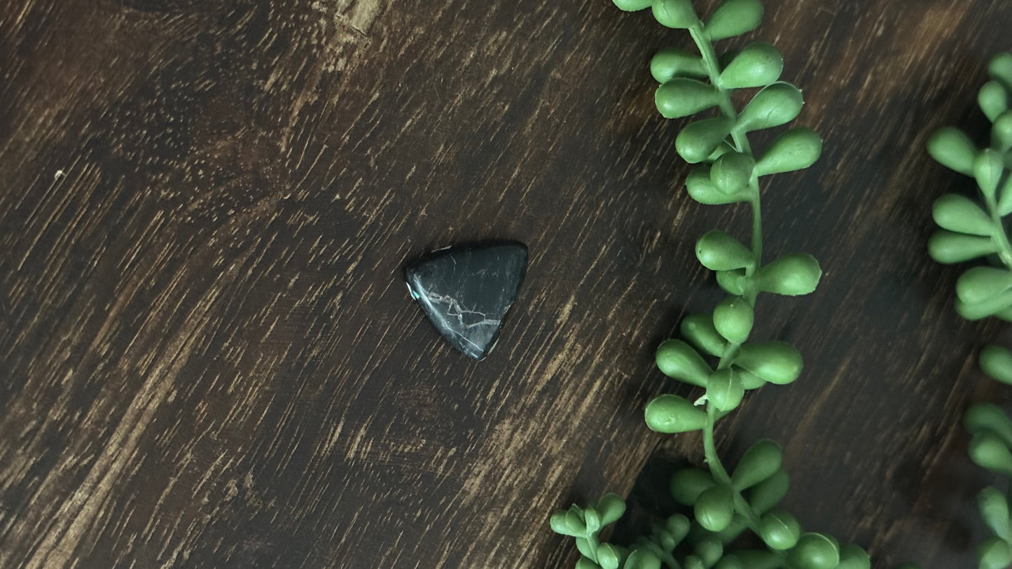 Black Jack Turquoise Cab