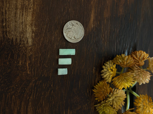 Paloma Variscite Cabs