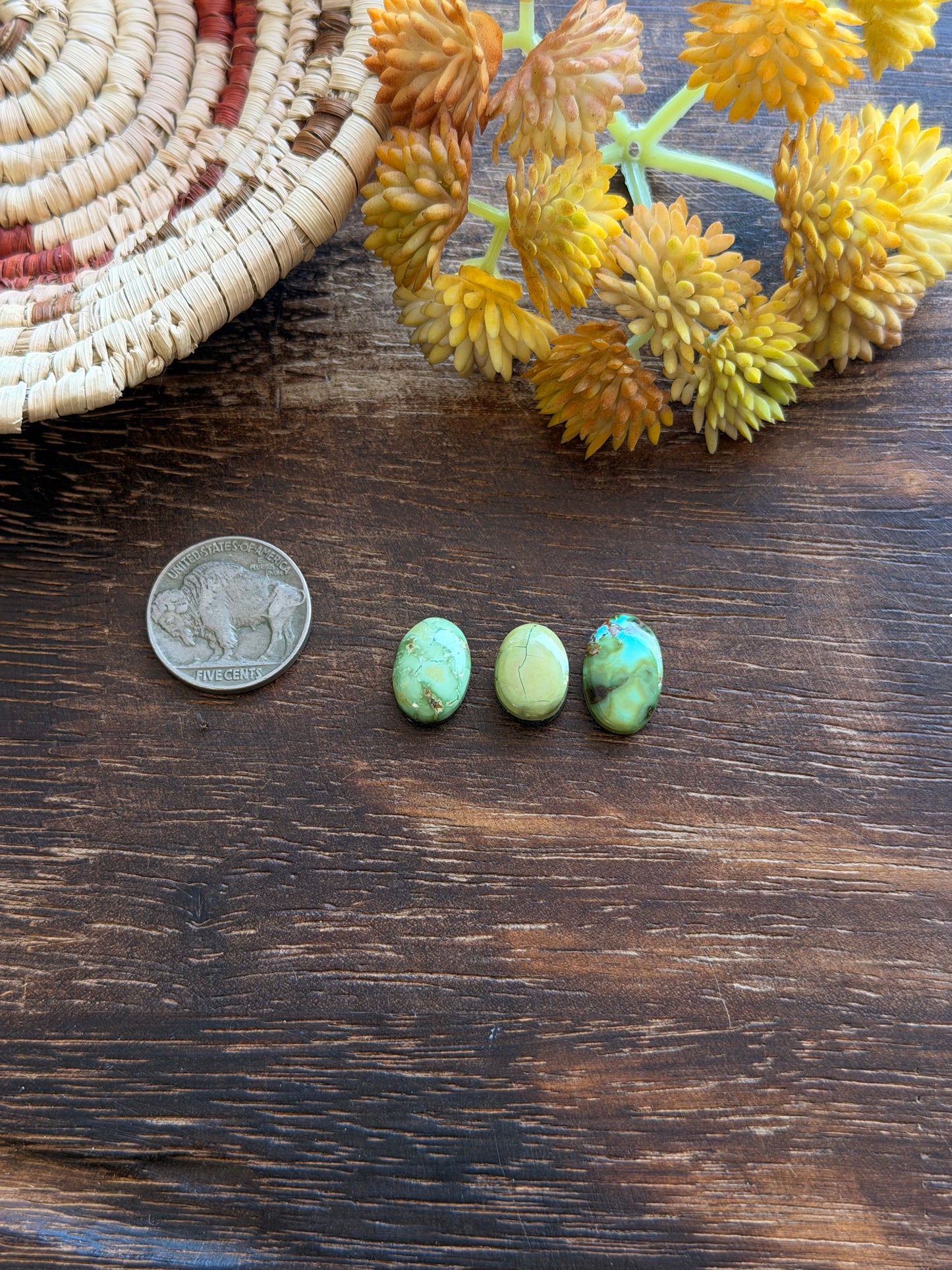 Sonoran Mountain Turquoise Cabs