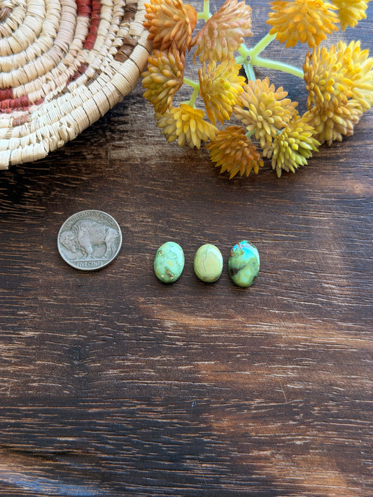 Sonoran Mountain Turquoise Cabs