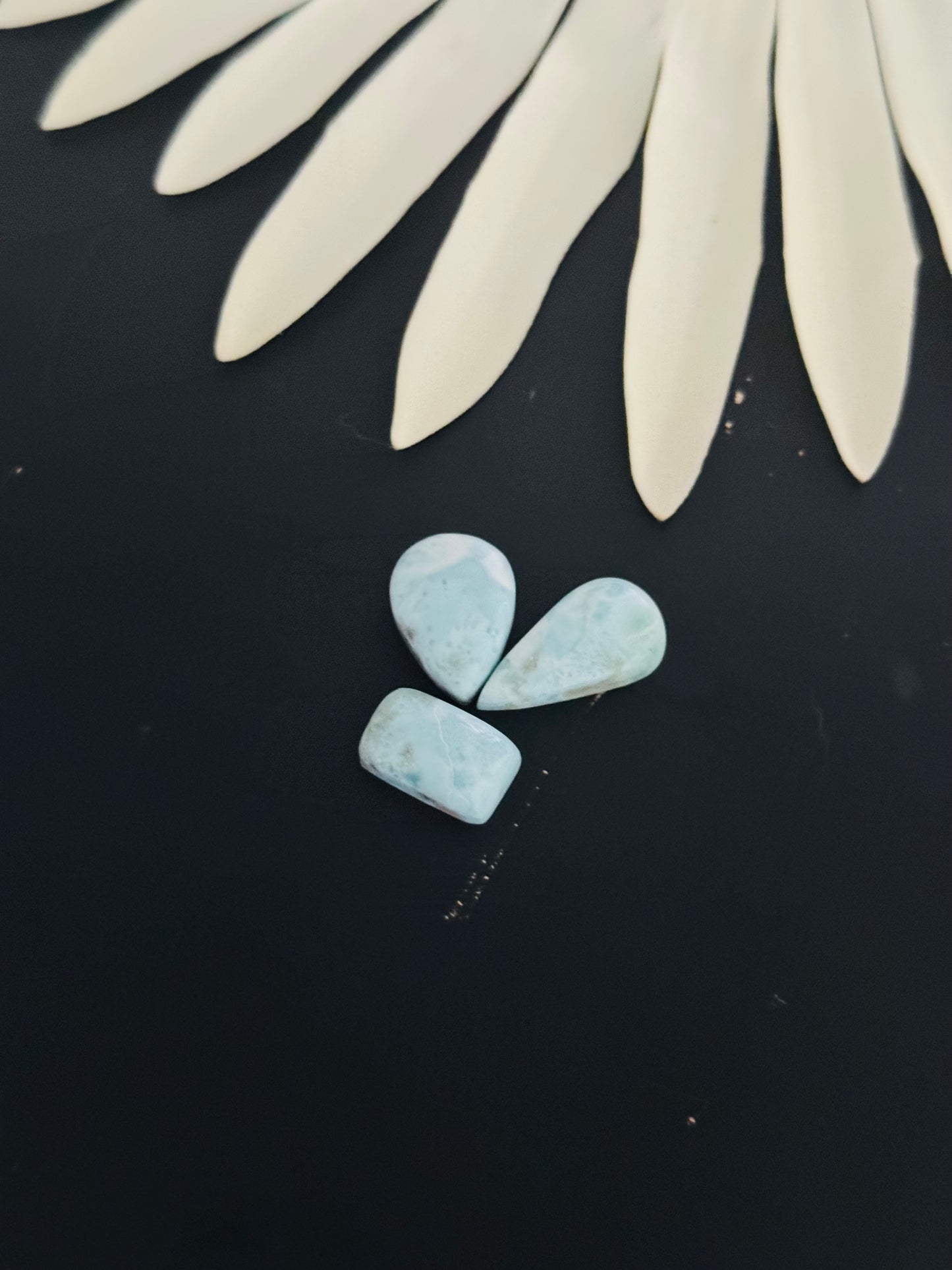 Larimar Cabs