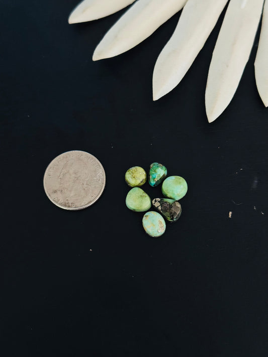 Natural Sonoran Gold Turquoise Cabs