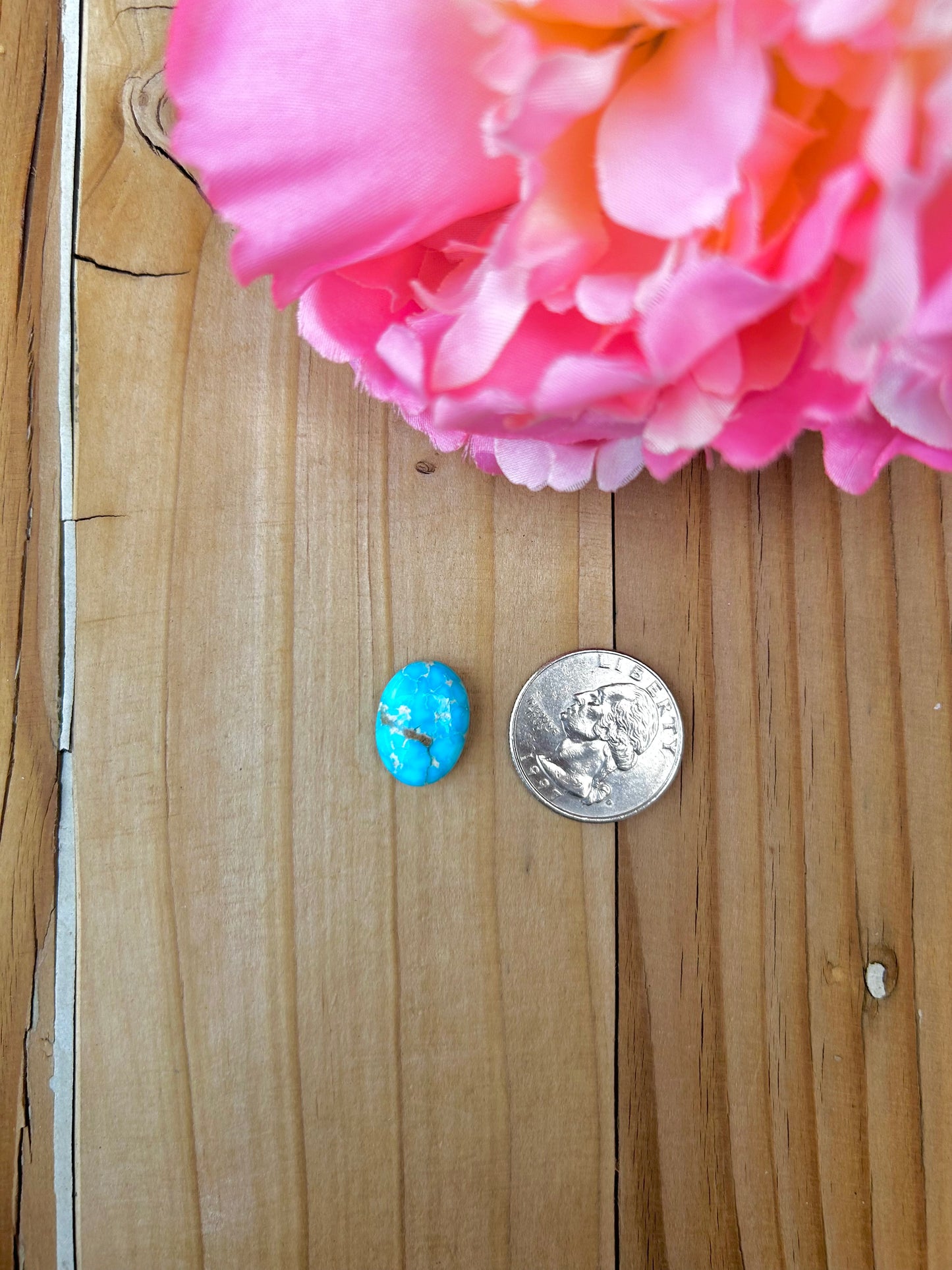 Blue Bird Turquoise Cabs