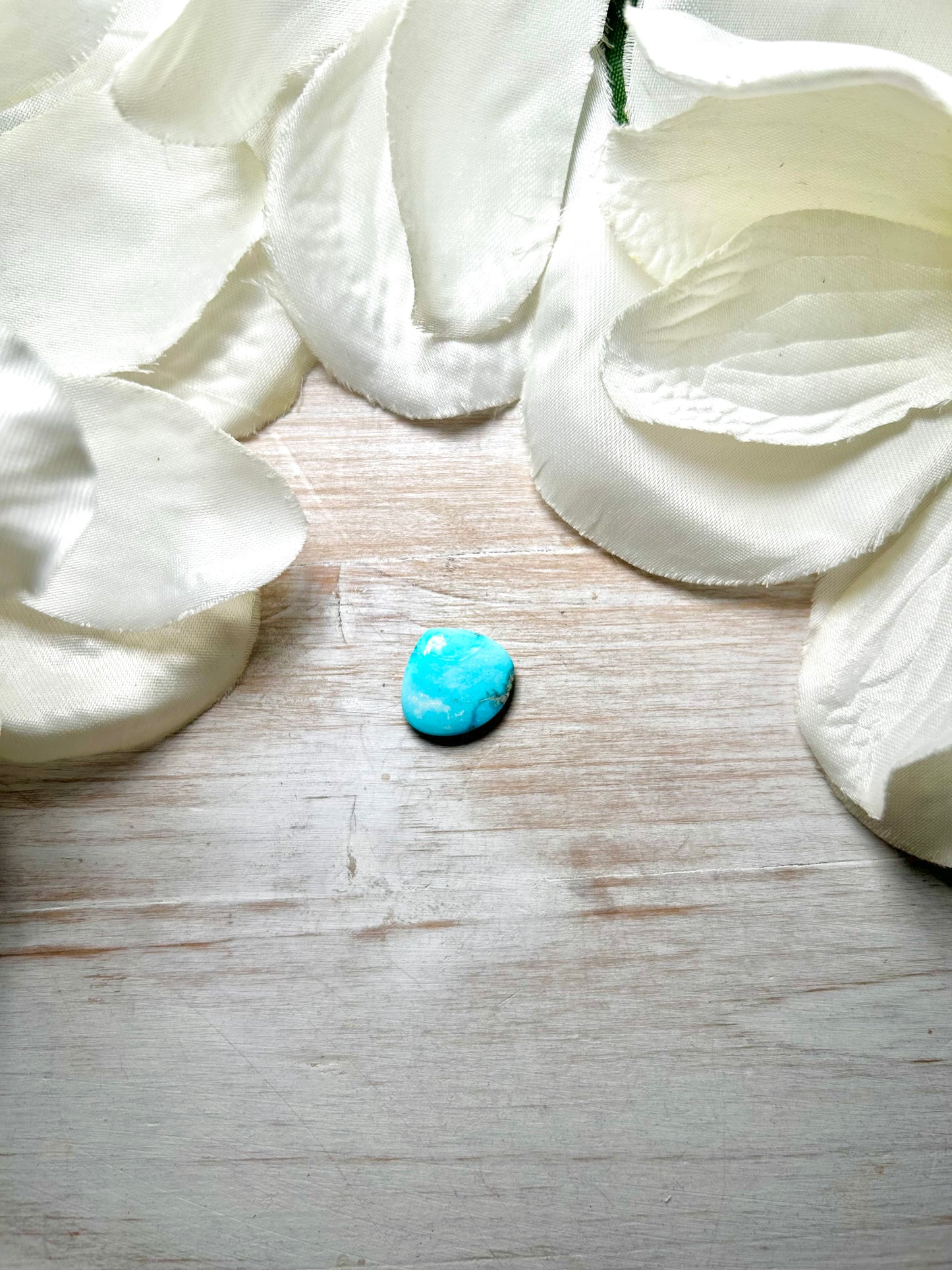 Blue Ridge Turquoise Cab