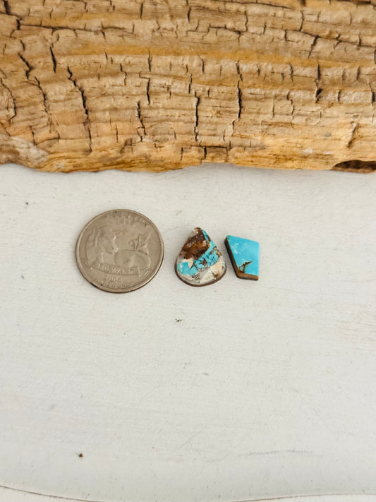 Natural Kings Manassa Turquoise Cabs