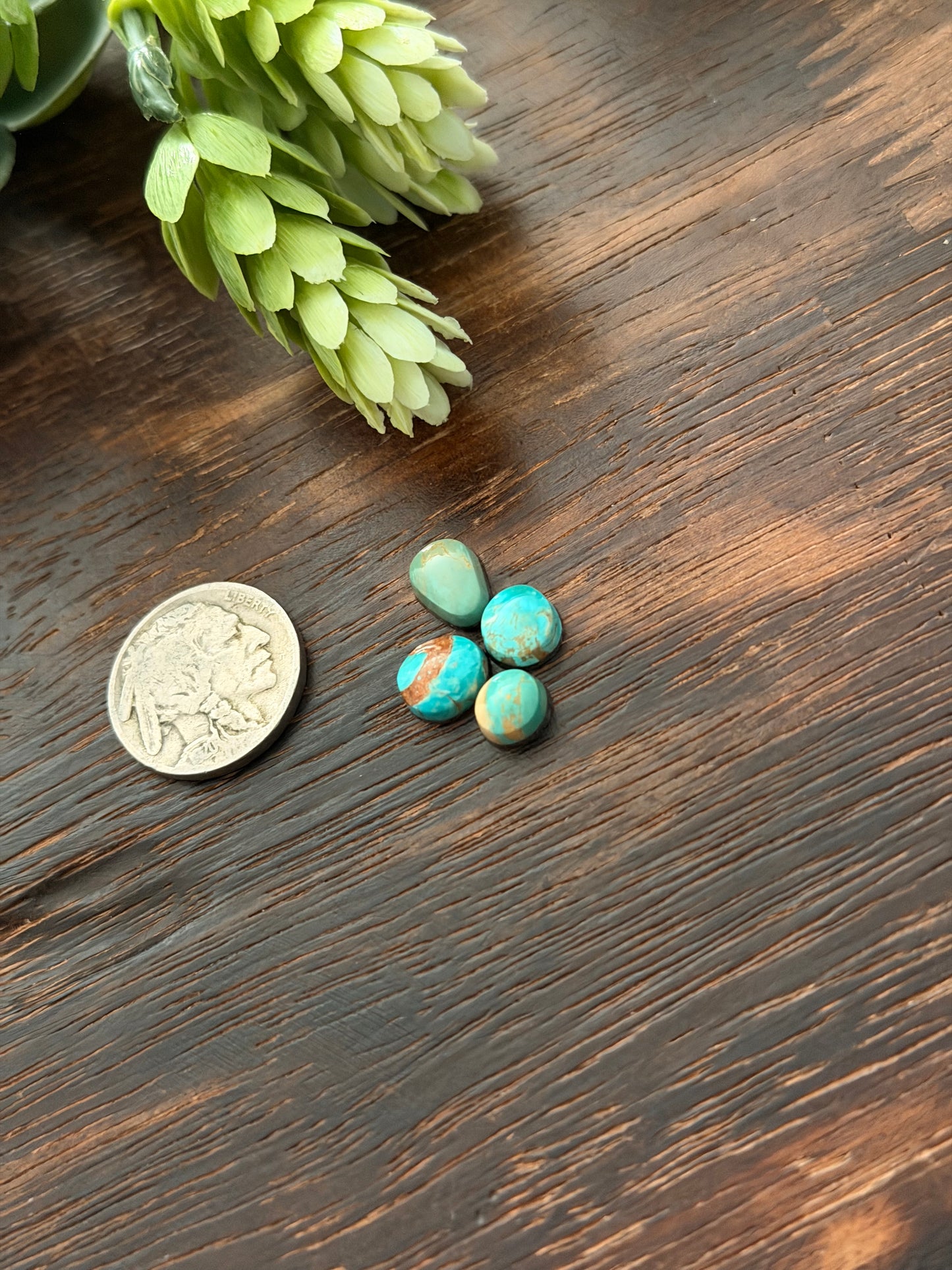 Evans Turquoise Cabs