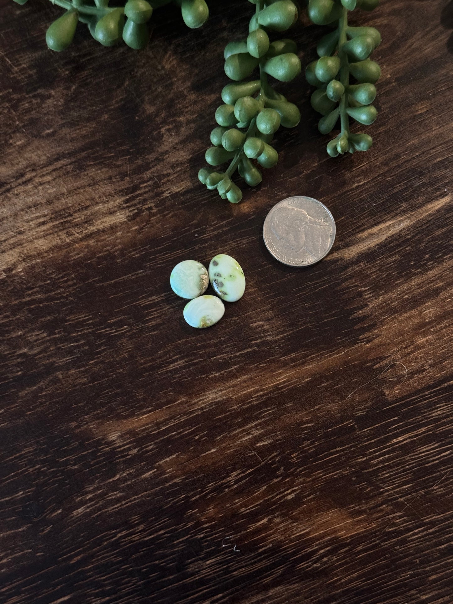 Palomino Variscite Cabs