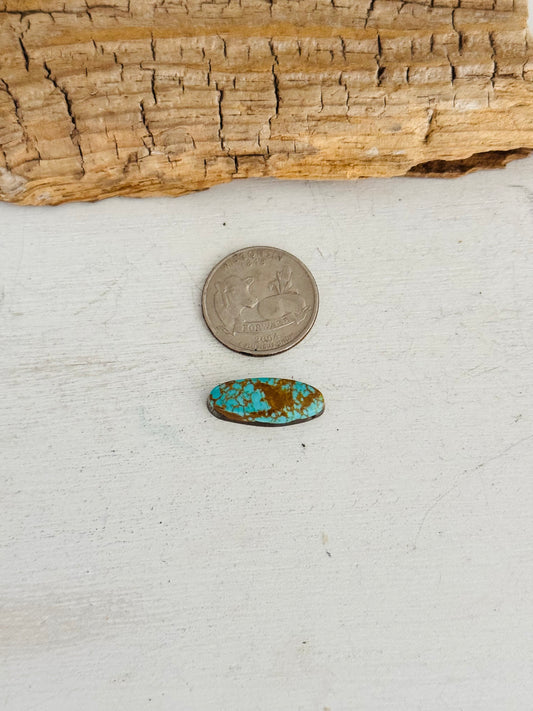 Natural Kings Manassa Turquoise Cab