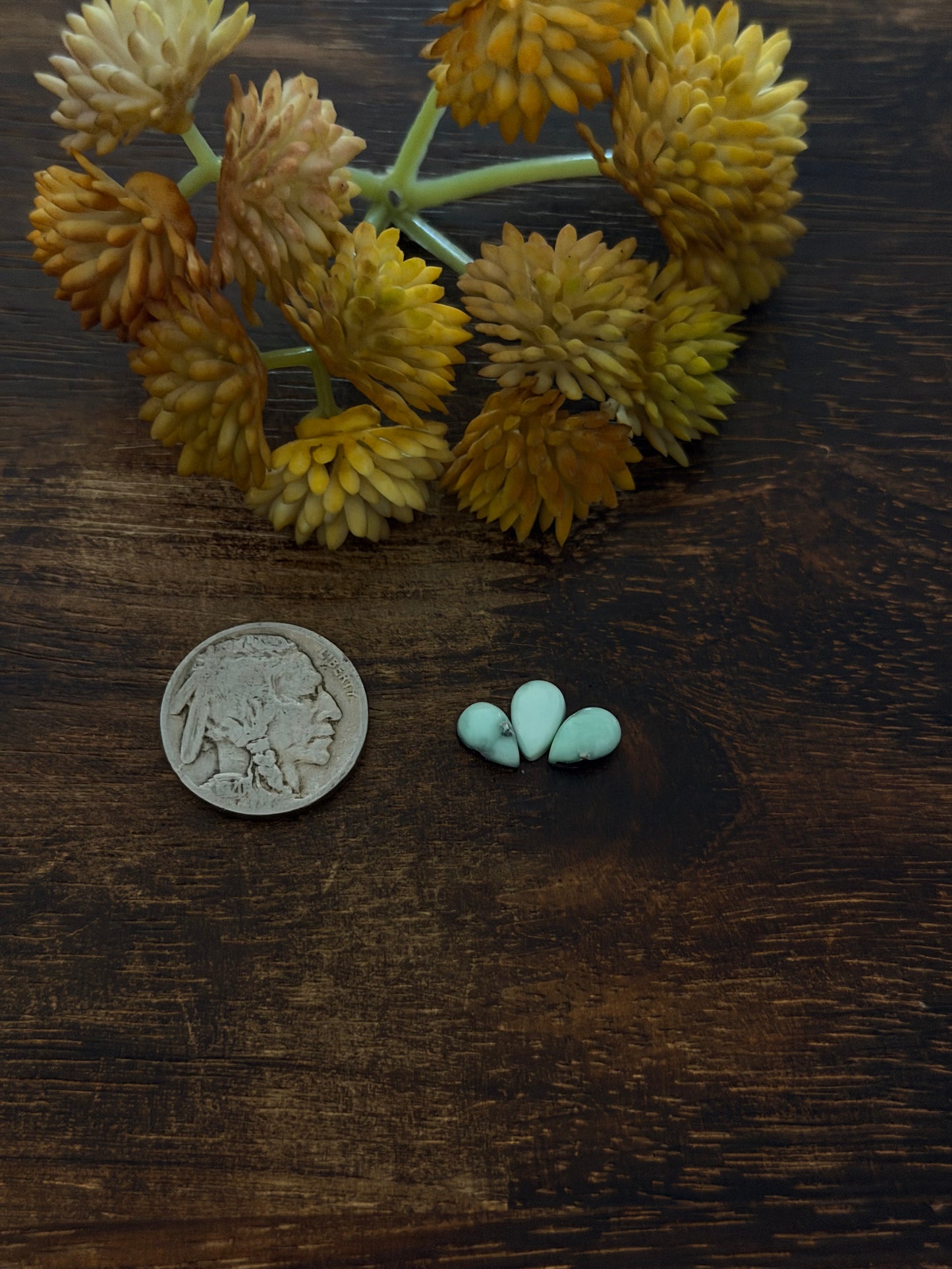 Paloma Variscite Cabs