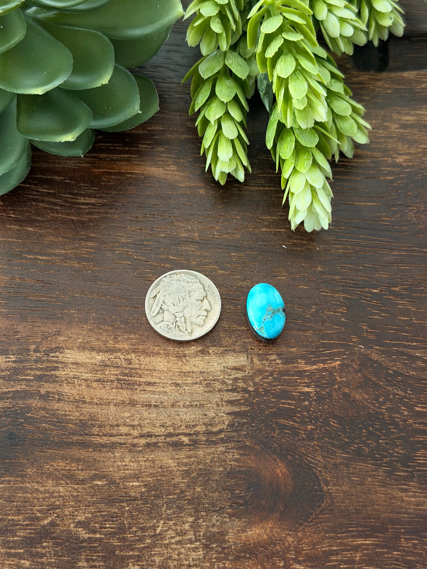 Blue Bird Turquoise Cab