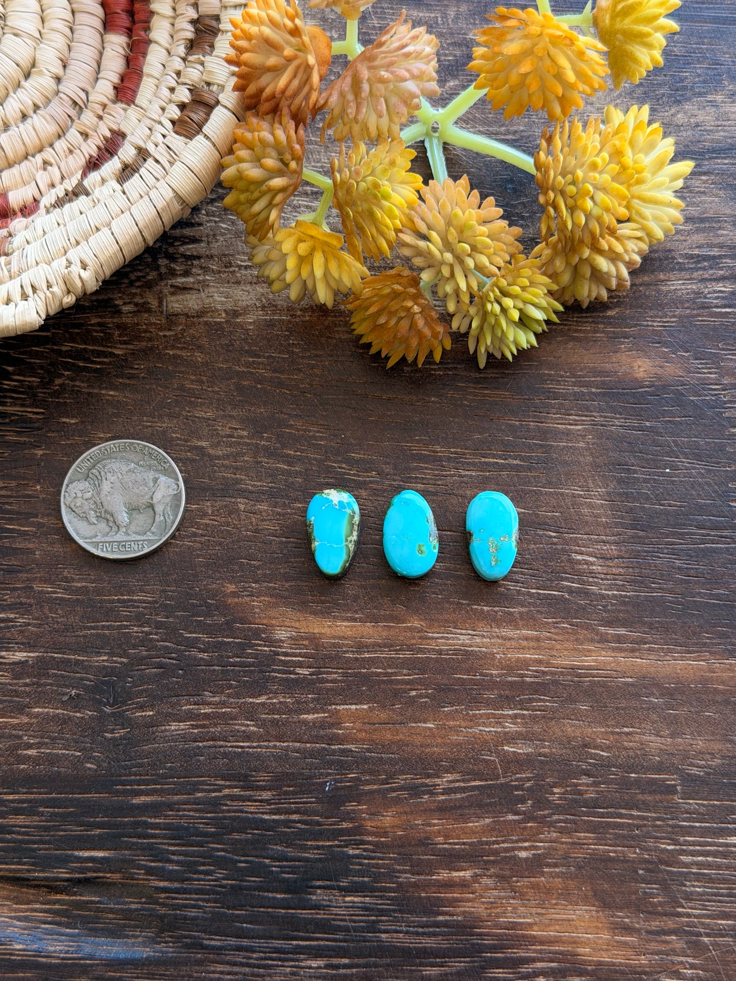 Sonoran Mountain Turquoise Cabs