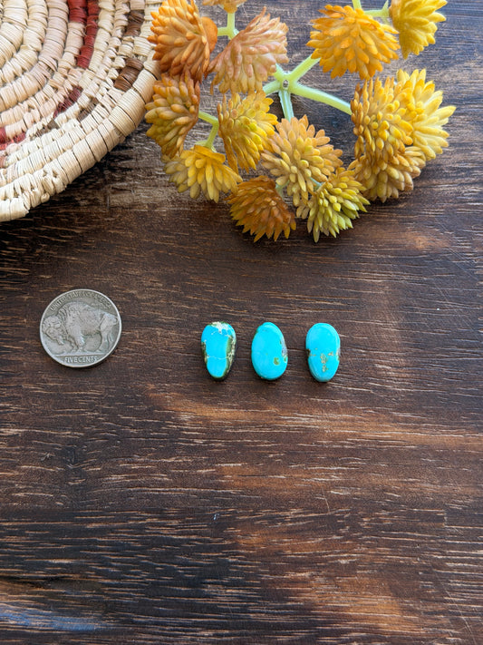 Sonoran Mountain Turquoise Cabs