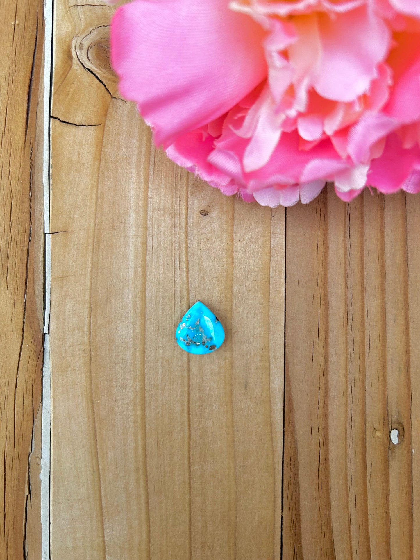 Blue Bird Turquoise Cabs