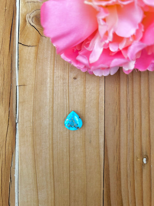 Blue Bird Turquoise Cabs