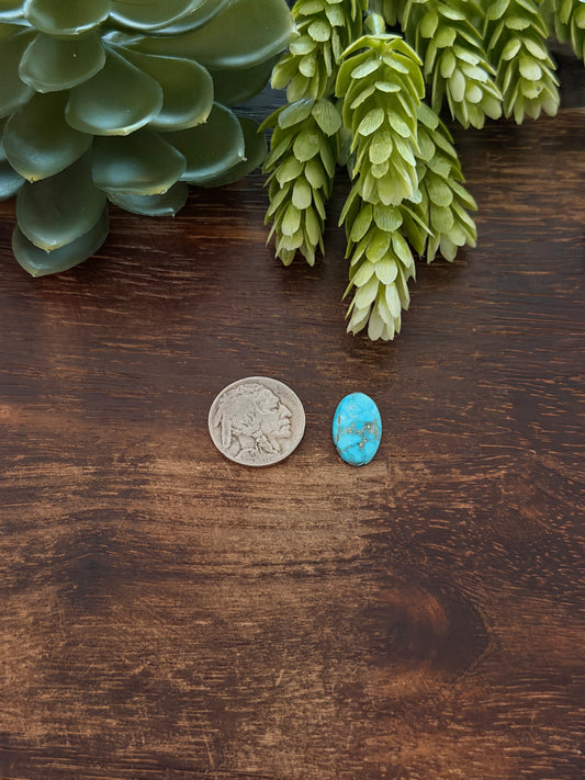 Blue Bird Turquoise Cab