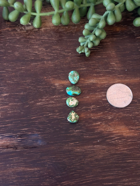 Sonoran Mountain Turquoise Cabs