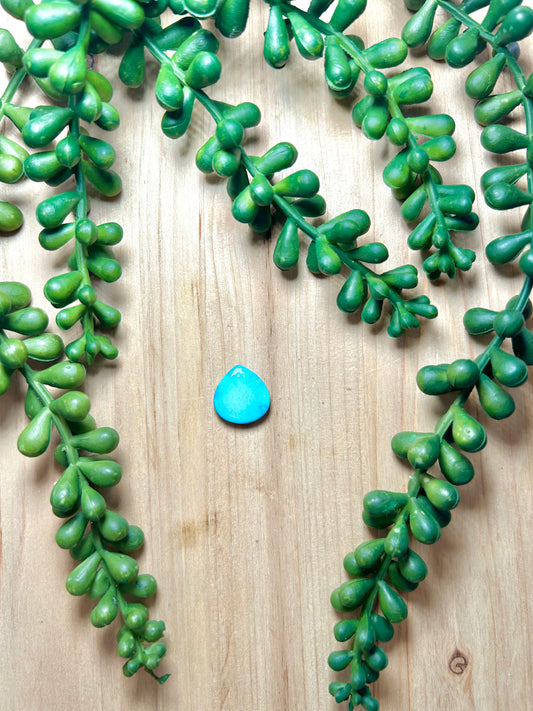 Blue Ridge Turquoise Cab