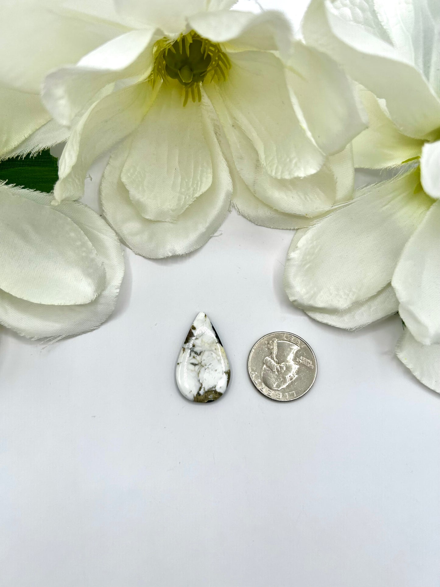 White Buffalo Cabs