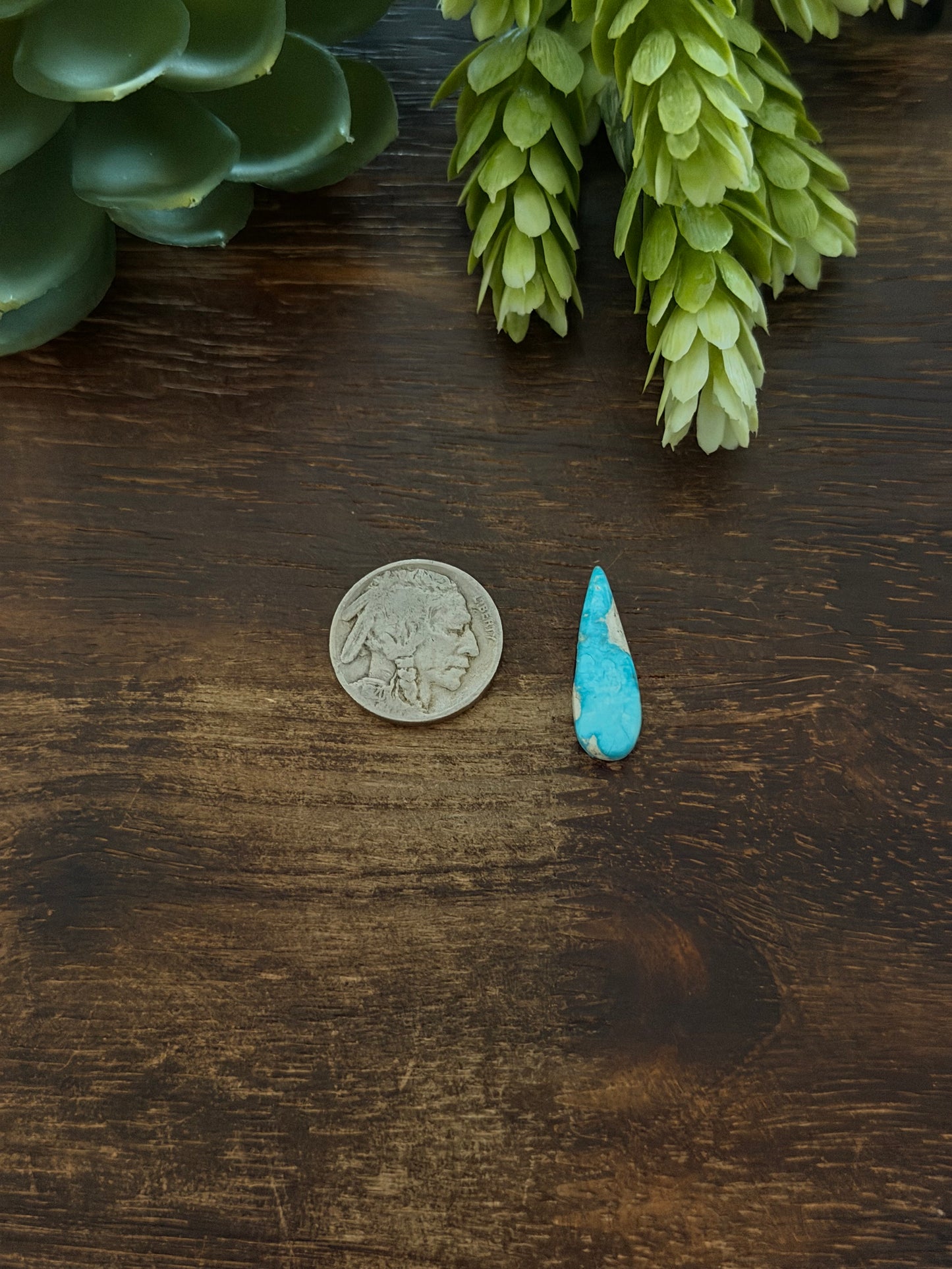 Blue Bird Turquoise Cab