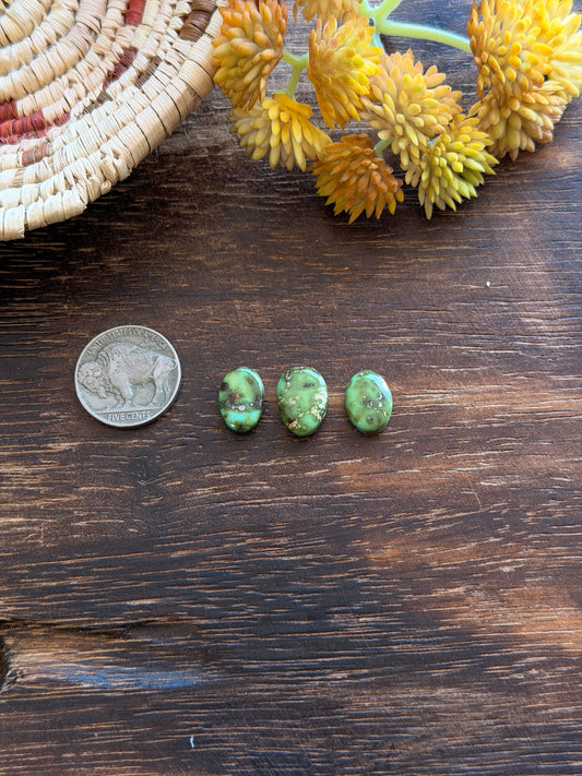 Sonoran Mountain Turquoise Cabs