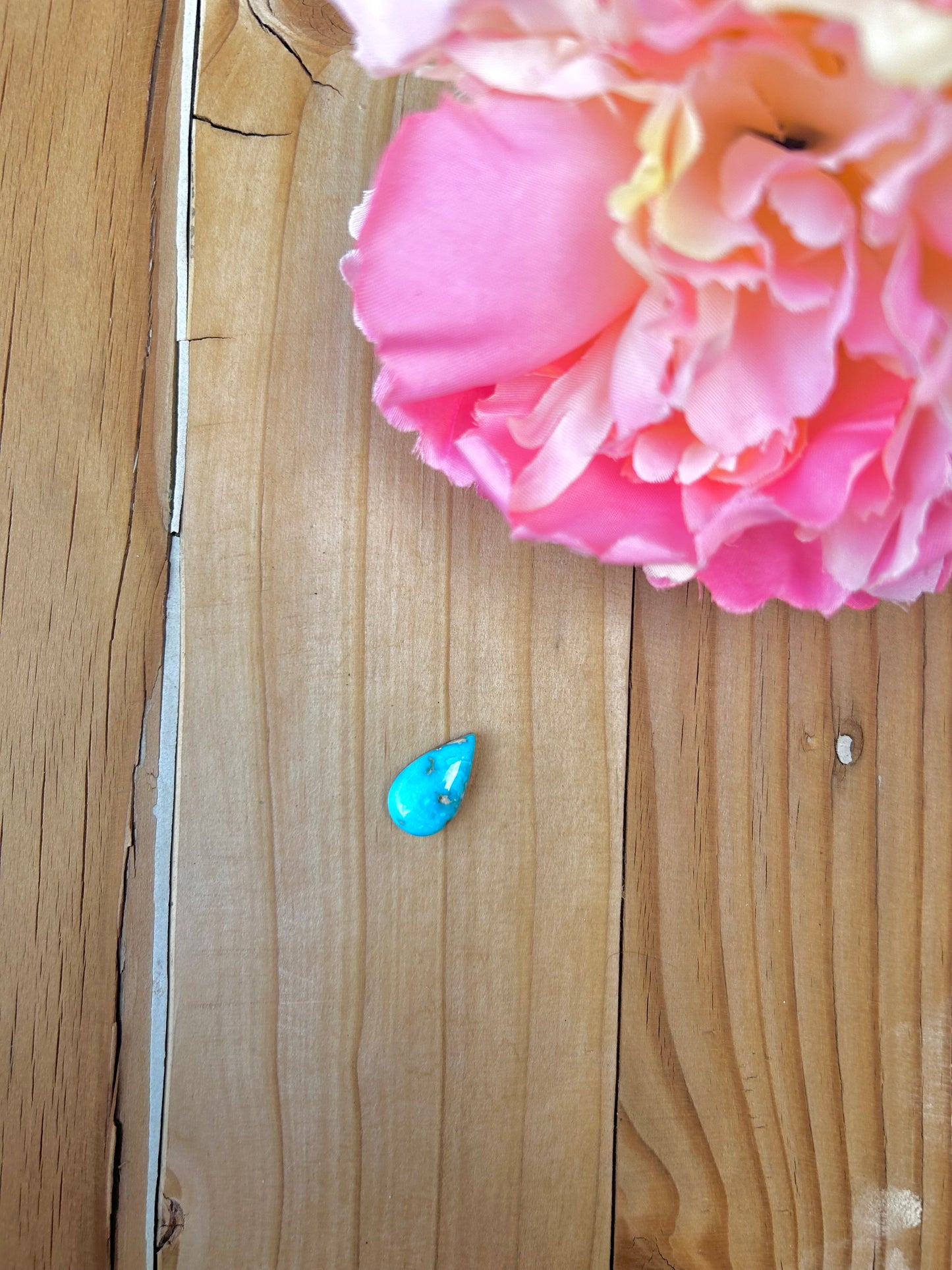 Blue Bird Turquoise Cabs